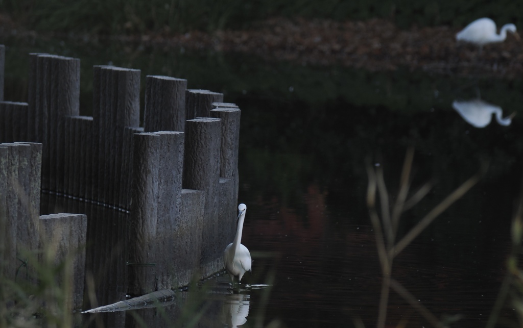 壁を沿う安心感