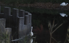 壁を沿う安心感