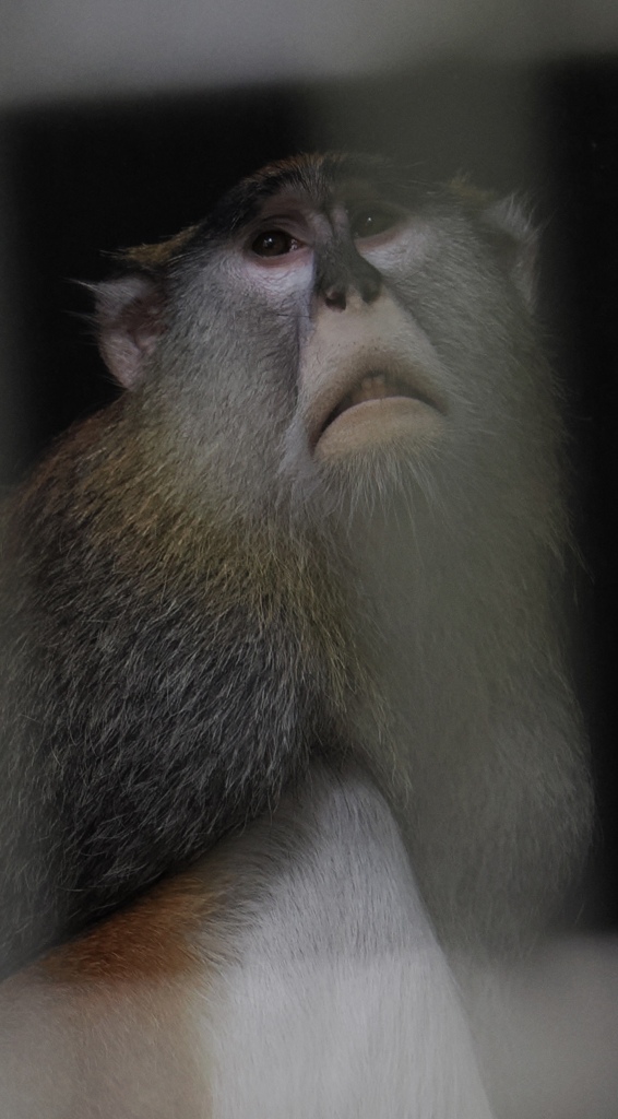 この子の相談に乗りたい