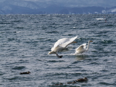 キキーッ！急ブレーキ！