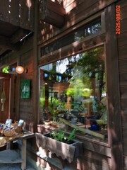 ウィンドーショッピング