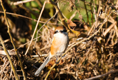 こっちに気付いてる？？