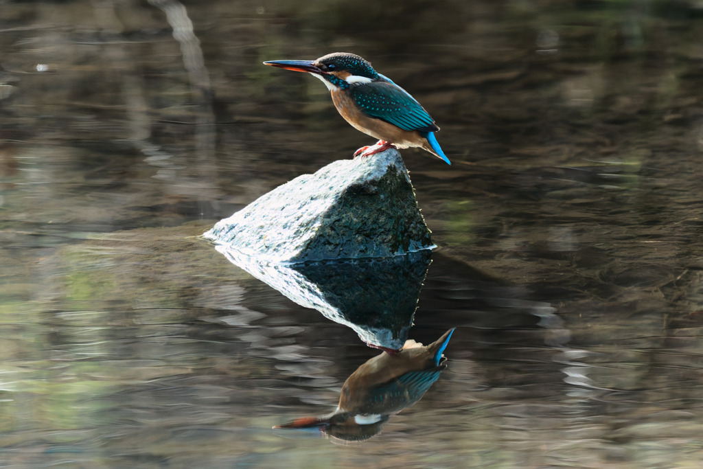 宝石の上に立つ翡翠
