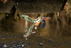 スーパーキャッチ！