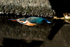 カワセミロケット