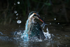 俺の背中についてこい