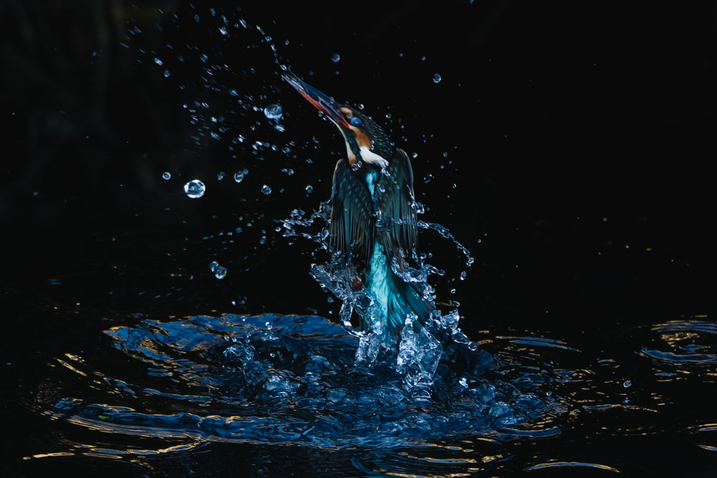 ブルードラゴン