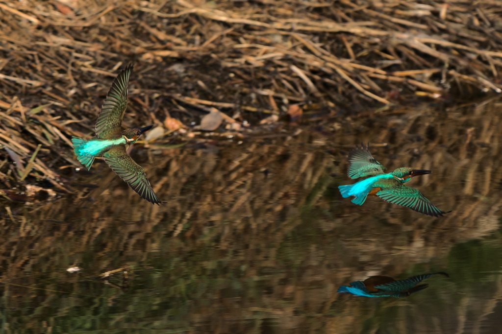 壮絶なレース①