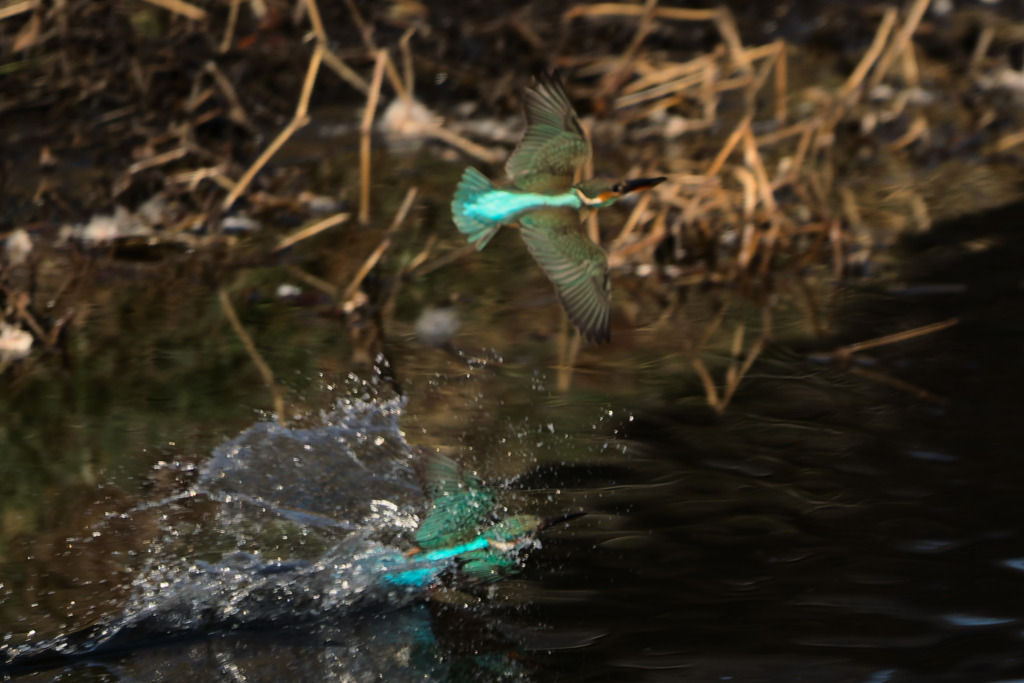 壮絶なレース②