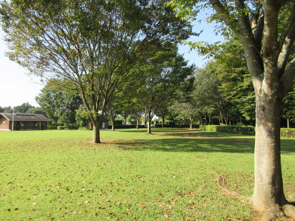 誰もいないけど