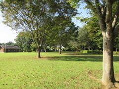 誰もいないけど