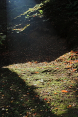 成田山公園にて