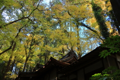 成田山公園にて