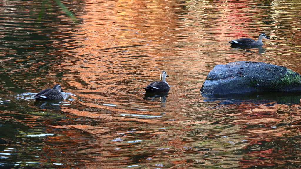 成田山公園にて