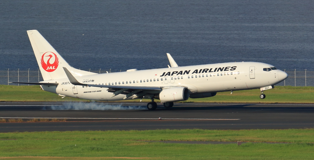 ＪＡＬ