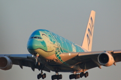 フライング・ホヌ(カイ)