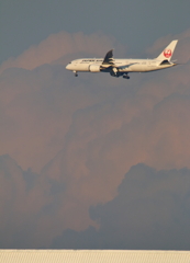 ＪＡＬ