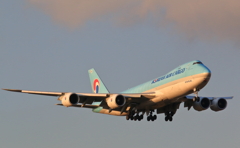 korean air cargo