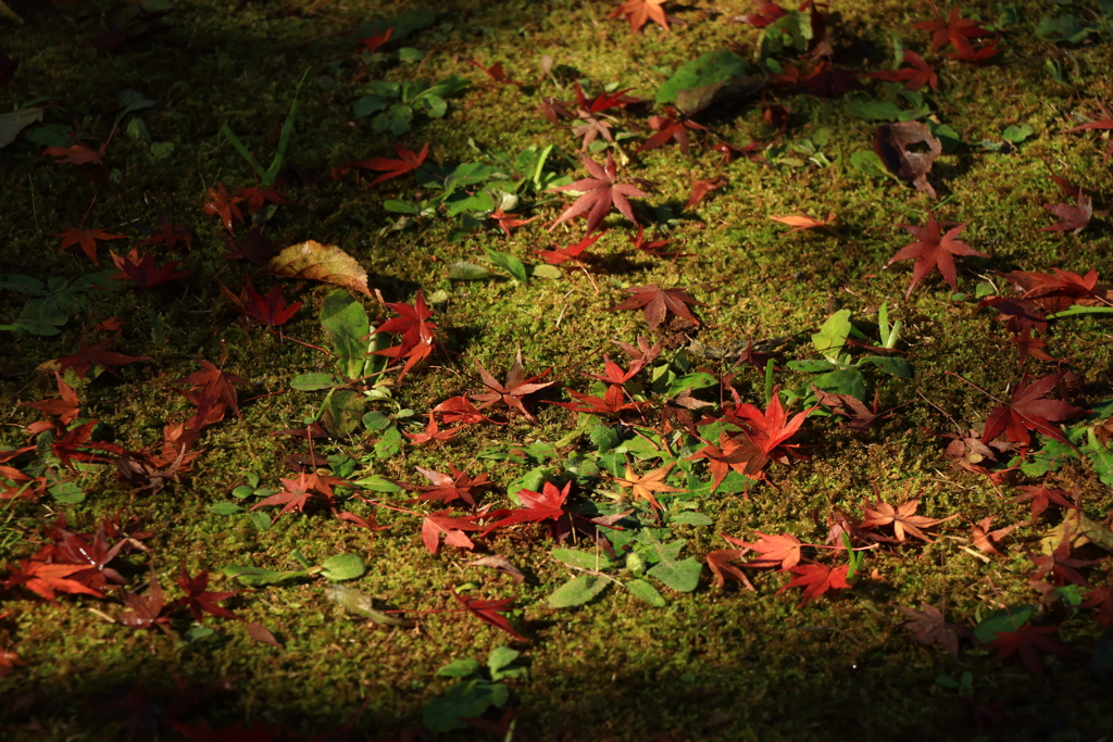 成田山公園にて