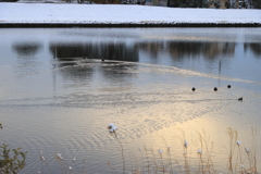 雪の日の夕暮れ