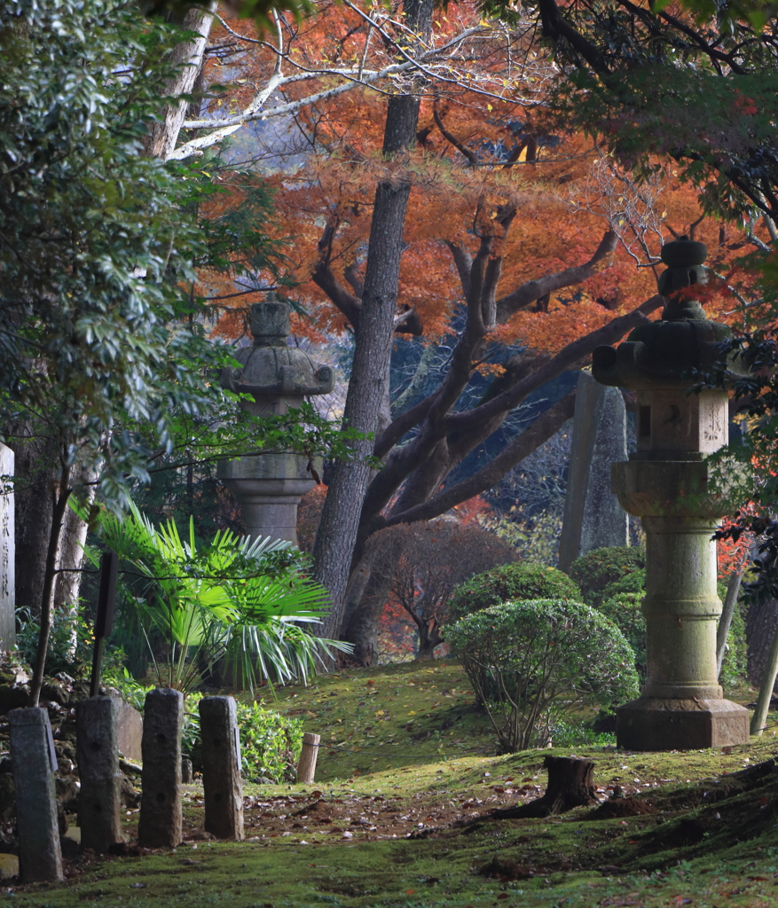 成田山公園にて