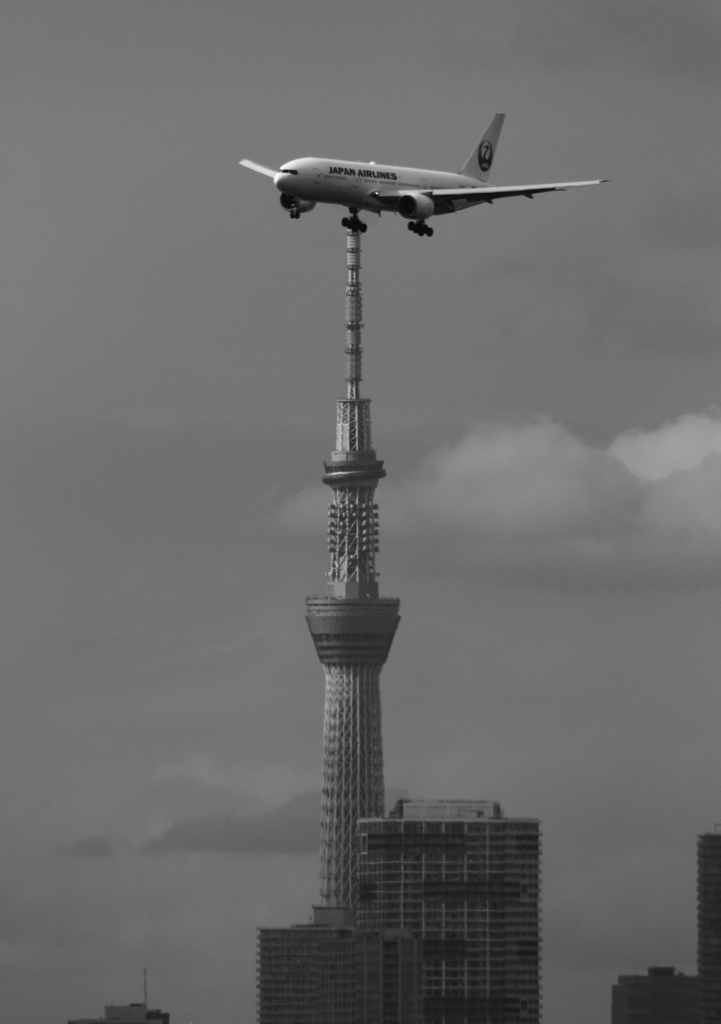 スカイツリーとJAL