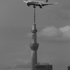 スカイツリーとJAL