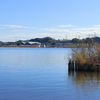 手賀沼湖畔