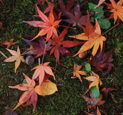 成田山公園にて