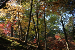 成田山公園にて