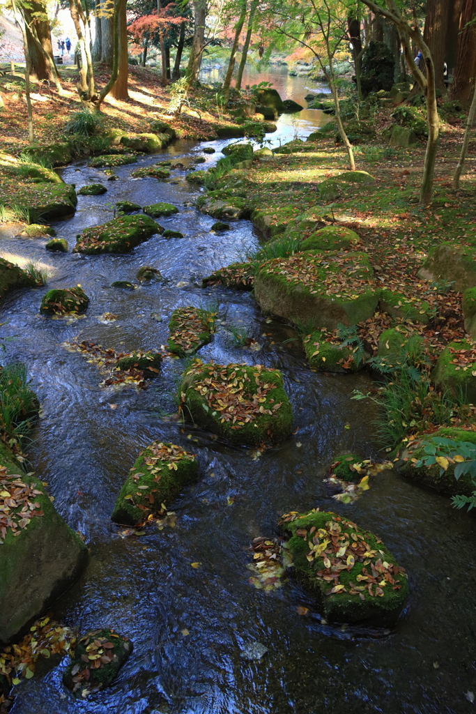 成田山公園にて