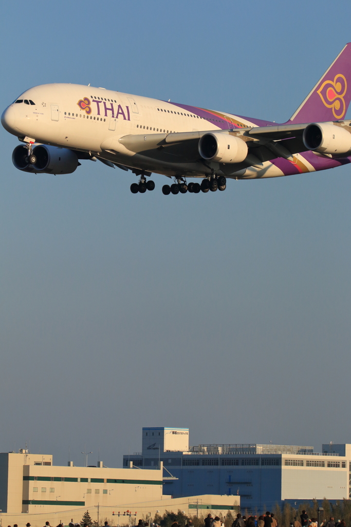 thai airways