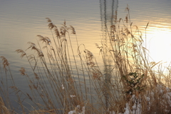 雪の日の夕暮れ