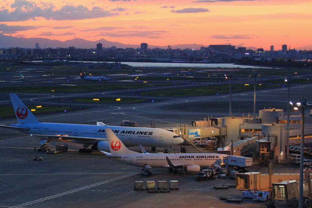 羽田空港の夕暮れ