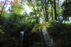 成田山公園にて