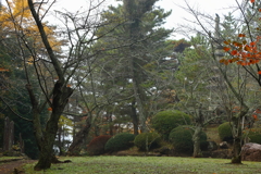 成田山公園にて