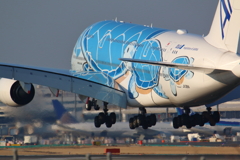 フライング・ホヌ(ラニ)