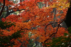 成田山公園にて