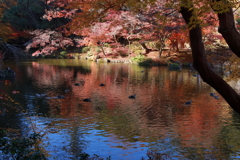 成田山公園にて