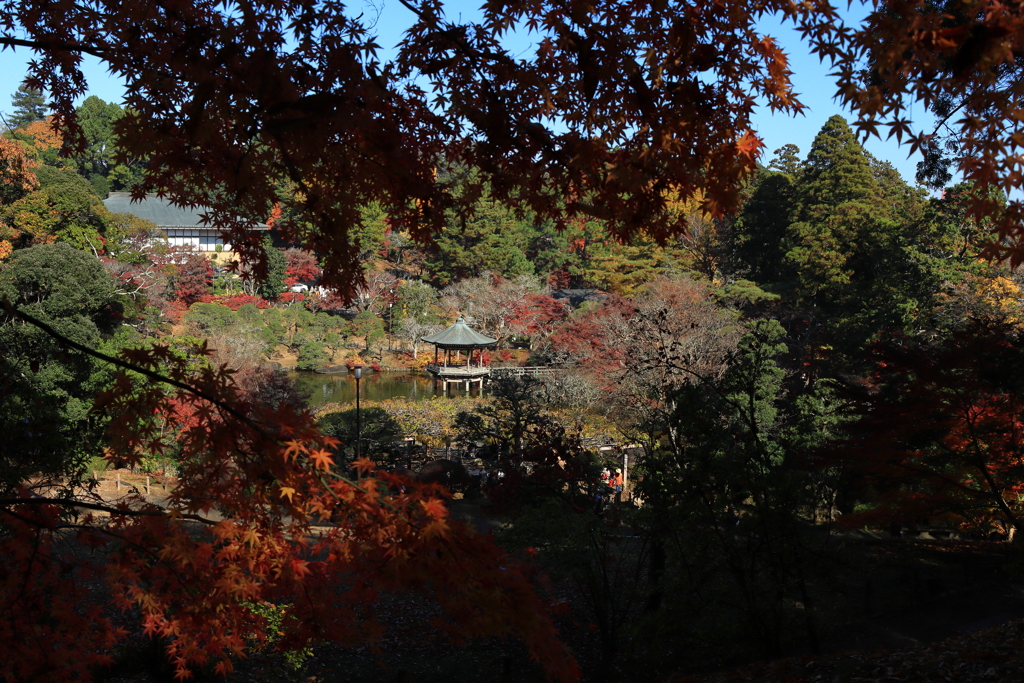 成田山公園にて