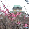 梅と城