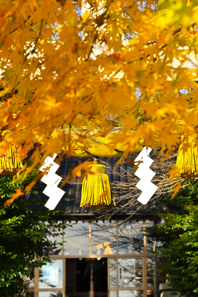 富山　ふるさと自然公園