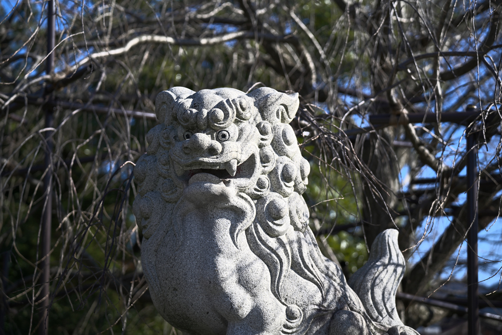 枝木と狛犬