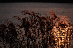 たのしいひとり