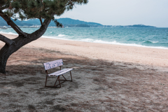 松とベンチと波