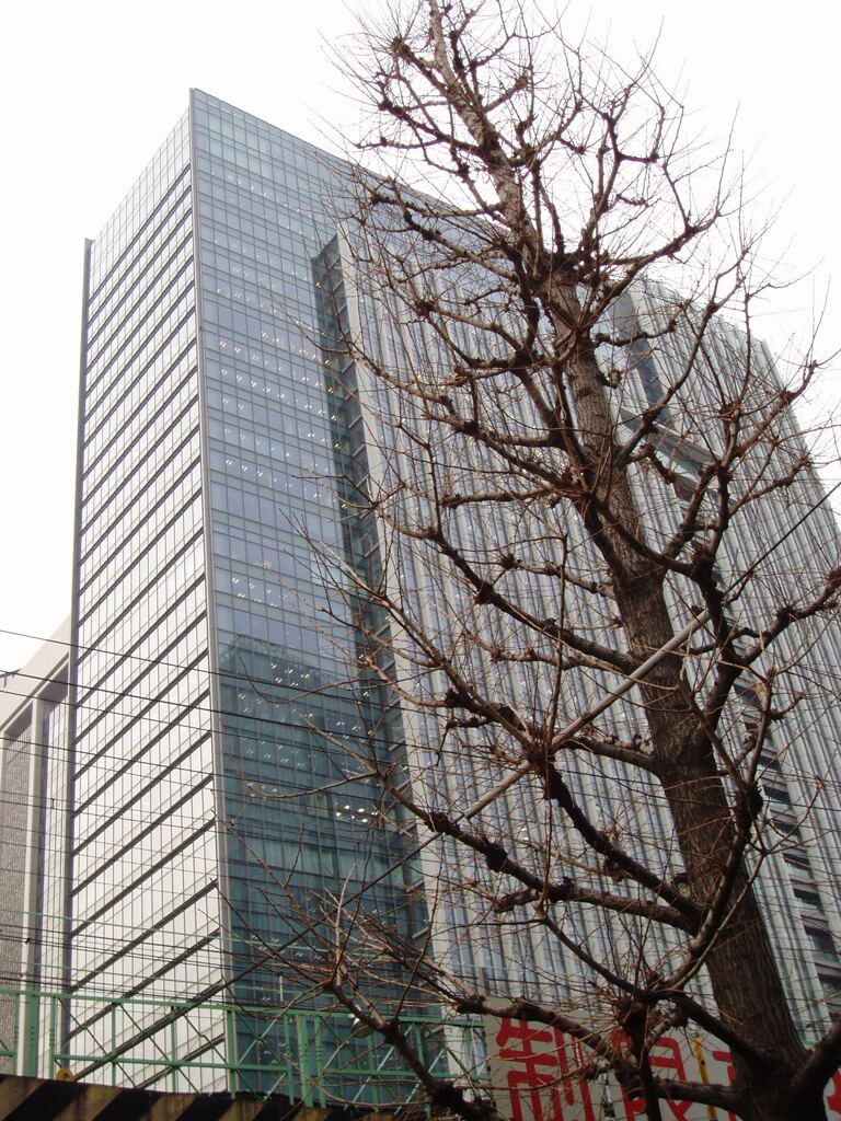 人工美  自然美