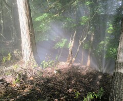 なんかうっとり