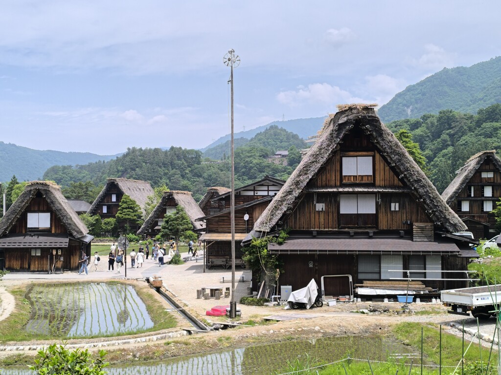 ずっと来たかった2