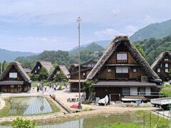 ずっと来たかった2