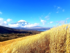 秋風に吹かれて